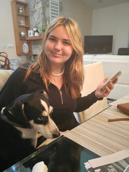 Cover photo of Pawsitive Sit